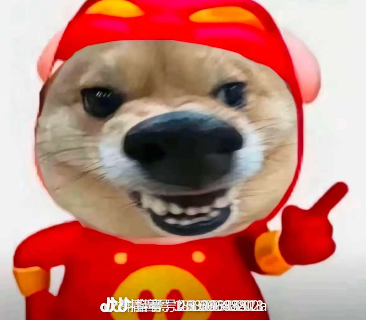 社区使用规范